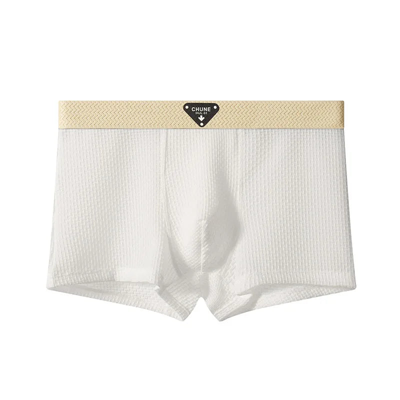 Boxer Rimini Breeze